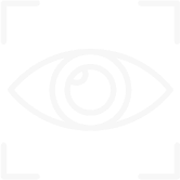 Vision